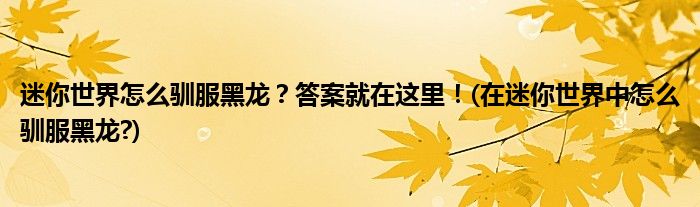 迷你世界怎么馴服黑龍？答案就在這里！(在迷你世界中怎么馴服黑龍?)