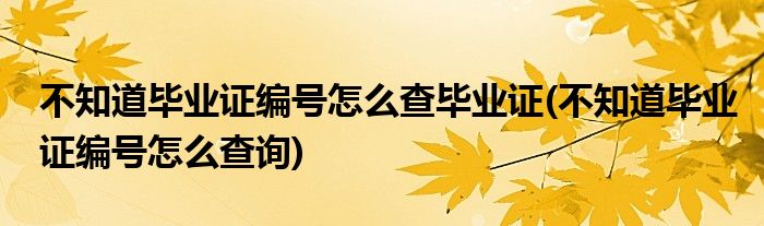 不知道畢業(yè)證編號(hào)怎么查畢業(yè)證(不知道畢業(yè)證編號(hào)怎么查詢)