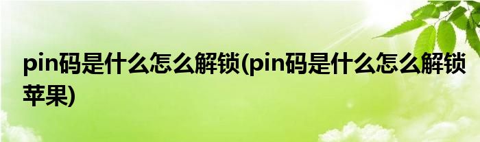 pin碼是什么怎么解鎖(pin碼是什么怎么解鎖蘋果)