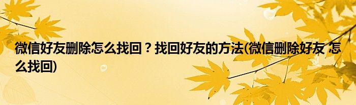 微信好友刪除怎么找回？找回好友的方法(微信刪除好友 怎么找回)