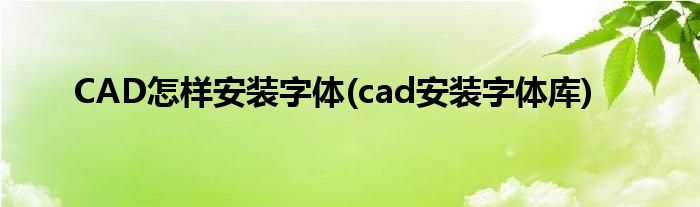 CAD怎樣安裝字體(cad安裝字體庫)