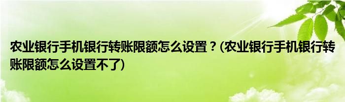 農(nóng)業(yè)銀行手機銀行轉賬限額怎么設置？(農(nóng)業(yè)銀行手機銀行轉賬限額怎么設置不了)