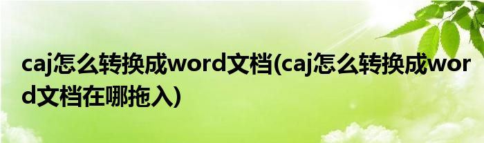 caj怎么轉(zhuǎn)換成word文檔(caj怎么轉(zhuǎn)換成word文檔在哪拖入)