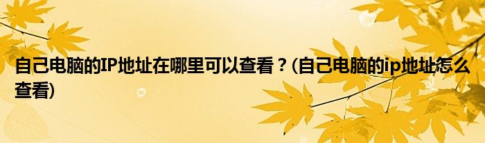 自己電腦的IP地址在哪里可以查看？(自己電腦的ip地址怎么查看)