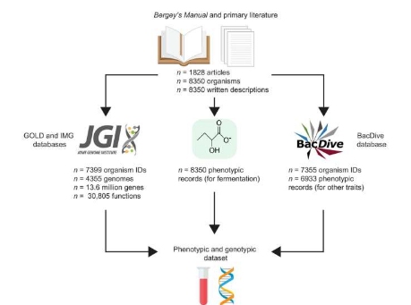 研究人員建立發(fā)酵原核生物的交互式綜合數(shù)據(jù)庫