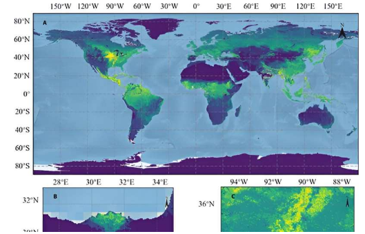 新的衛(wèi)星數(shù)據(jù)集揭示了地球植物的生長