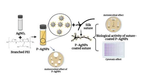 科學(xué)家開發(fā)出納米銀浸漬絲縫線以對(duì)抗手術(shù)部位感染