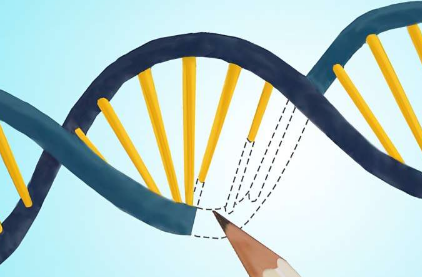 小因素對基因組編輯產生大影響