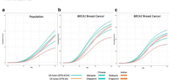 研究支持新加坡對(duì) BRCA1 和 BRCA2 基因攜帶者進(jìn)行基因定向管理