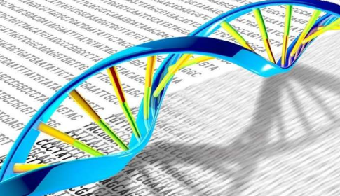 人類基因組中的古代病毒 DNA 與重大精神疾病有關