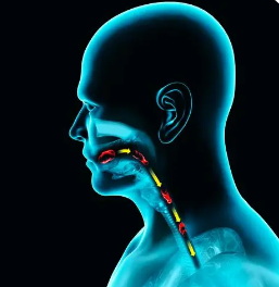 吞咽練習(xí)可康復(fù)慢性吞咽困難