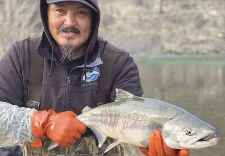 北極變暖導致鮭魚分布范圍擴大