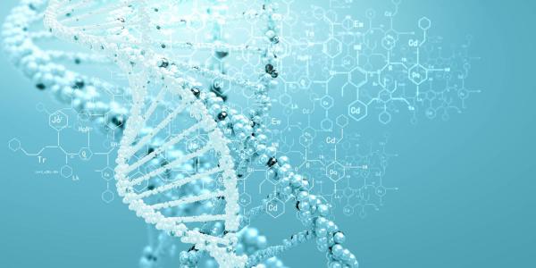 Cas9是DNA擴增中的新生兒