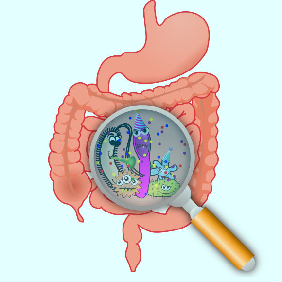 腸道微生物是否會影響我們的思維