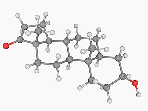 沒有證據(jù)表明睪丸激素會降低認(rèn)知同理心