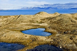 研究為氣候變化如何改變弗吉尼亞的障礙島提供了新的見解