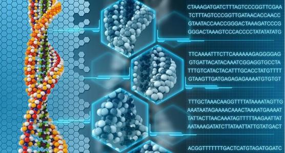 研究人員使用基因組學(xué)來解決一項為期20年的案例研究