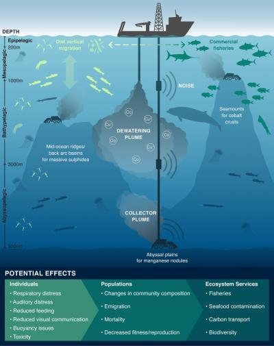 科學家進一步評估深海采礦對生態(tài)的影響